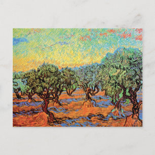 Vincent Van Gogh - Olive Grove with Orange Sky Postcard