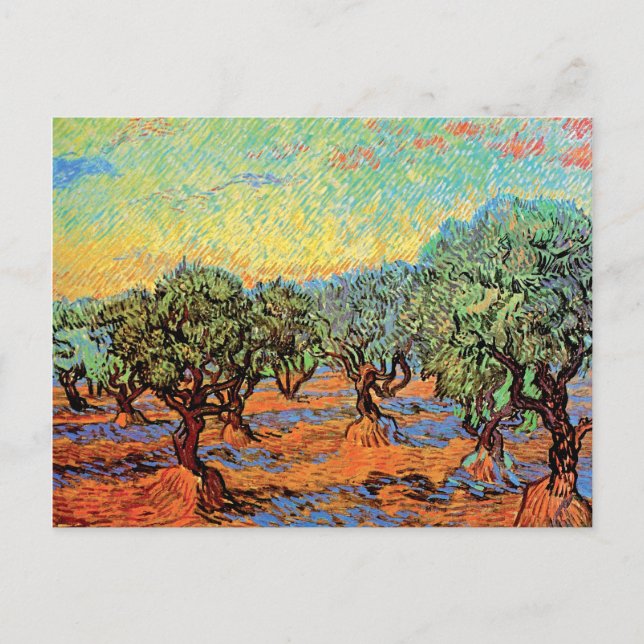 Vincent Van Gogh - Olive Grove with Orange Sky Postcard (Front)