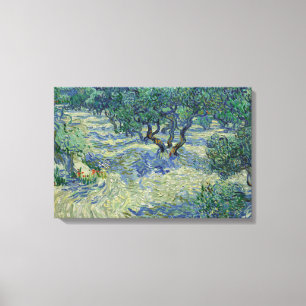 Vincent van Gogh - Olive Orchard Canvas Print