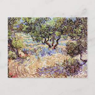 Vincent Van Gogh - Olive Orchard Fine Art Postcard