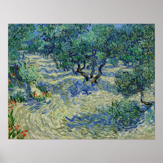 Vincent van Gogh - Olive Orchard Poster (Front)