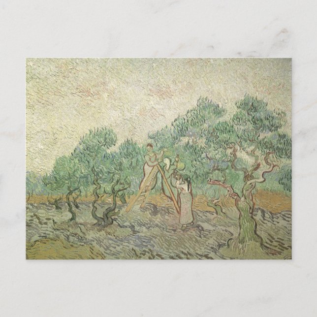 Vincent van Gogh - Olive Picking Postcard (Front)