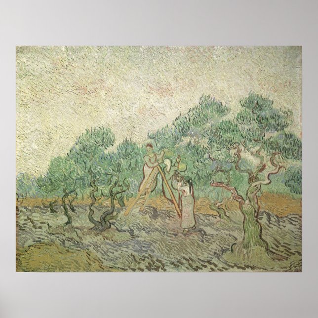 Vincent van Gogh - Olive Picking Poster (Front)