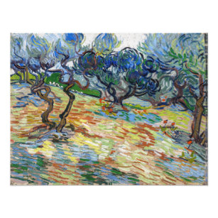 Vincent van Gogh - Olive Trees: Bright blue sky Photo Print
