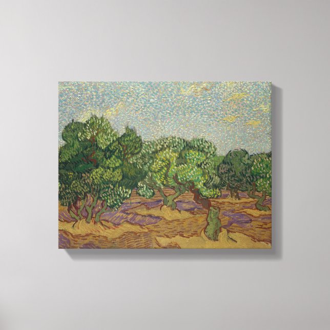 Vincent van Gogh - Olive Trees Canvas Print (Front)