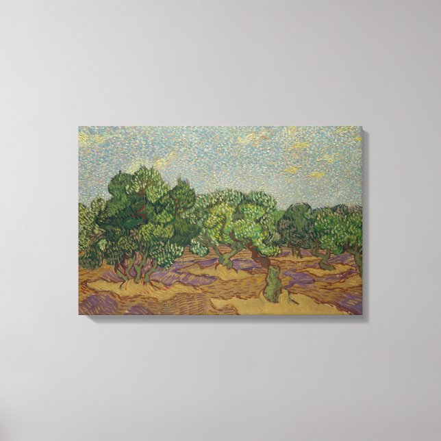 Vincent van Gogh - Olive Trees Canvas Print (Front)