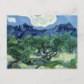 Vincent van Gogh Olive Trees Postcard