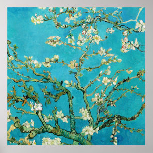 Vincent Van Gogh painting Almond Blossoms Poster
