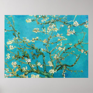 Vincent Van Gogh painting Almond Blossoms Poster