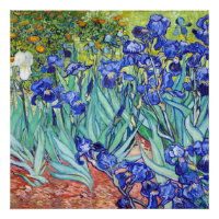 Vincent Van Gogh painting Irises