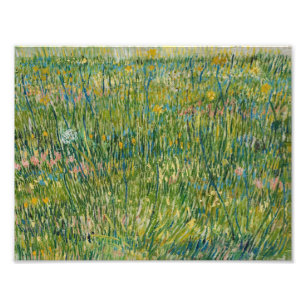 Vincent van Gogh - Patch of Grass Photo Print