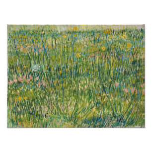 Vincent van Gogh - Patch of grass Photo Print