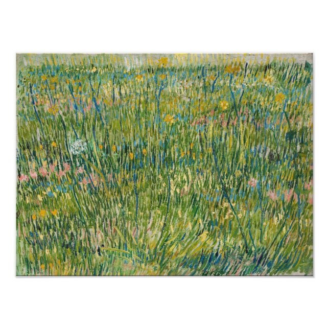 Vincent van Gogh - Patch of grass Photo Print (Front)