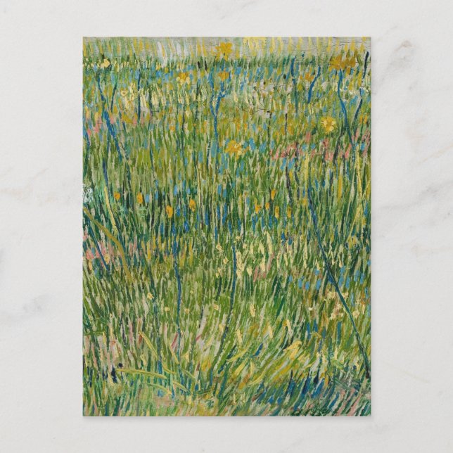 Vincent van Gogh - Patch of grass Postcard (Front)