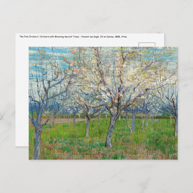 Vincent van Gogh - Pink Orchard Postcard (Front/Back)