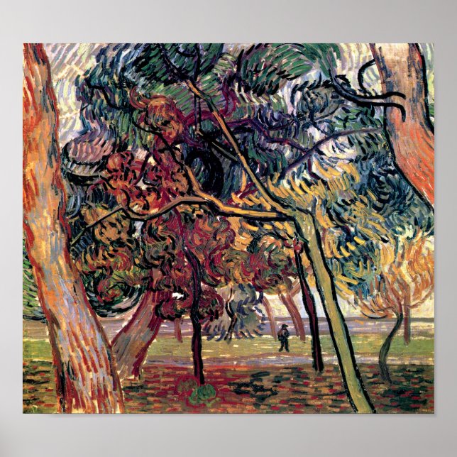 Vincent Van Gogh - Study Of Pine Trees Fine Art Poster (Front)