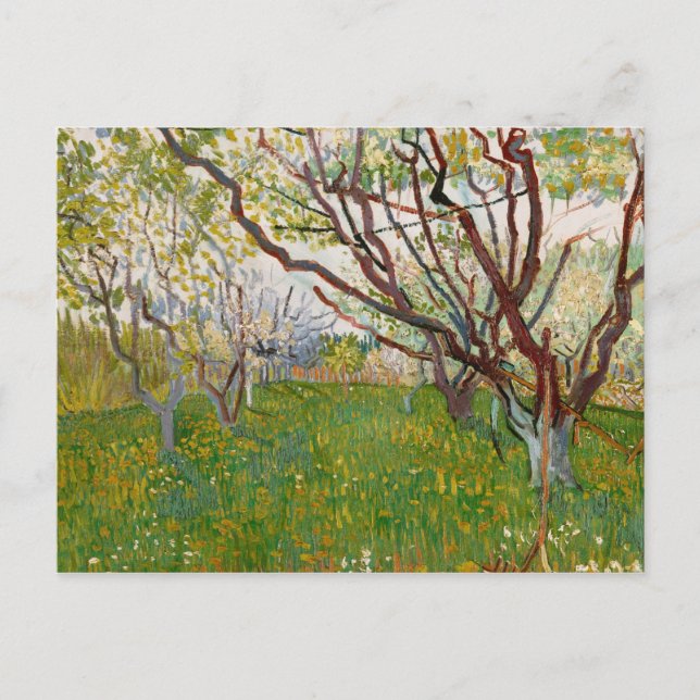 Vincent van Gogh - The Flowering Orchard Postcard (Front)