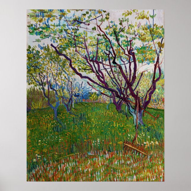 Vincent van Gogh - The Flowering Orchard Poster (Front)