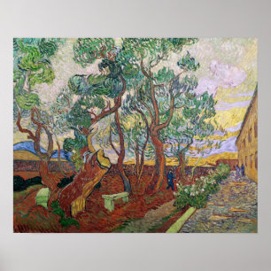 Vincent van Gogh   The Garden of St. Paul Hospital Poster