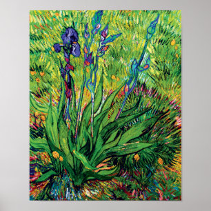 Vincent Van Gogh - The Iris - Flower Lover Pop Art Poster