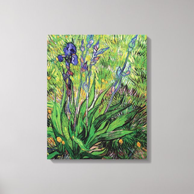 Vincent Van Gogh - The Iris Nature Lover Fine Art Canvas Print (Front)