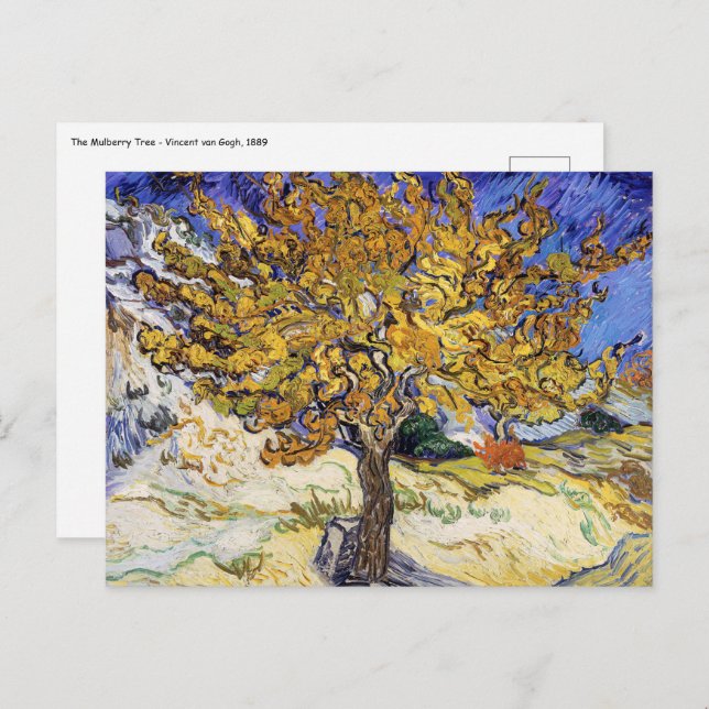 Vincent van Gogh - The Mulberry Tree Postcard (Front/Back)