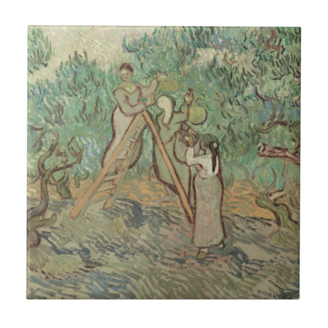 Vincent Van Gogh | The Olive Orchard Tile (Front)