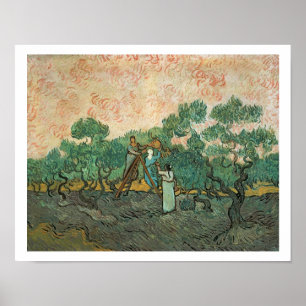 Vincent van Gogh The Olive Pickers, Saint-Remy Poster