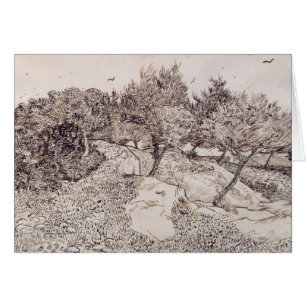 Vincent van Gogh   The Olive Trees