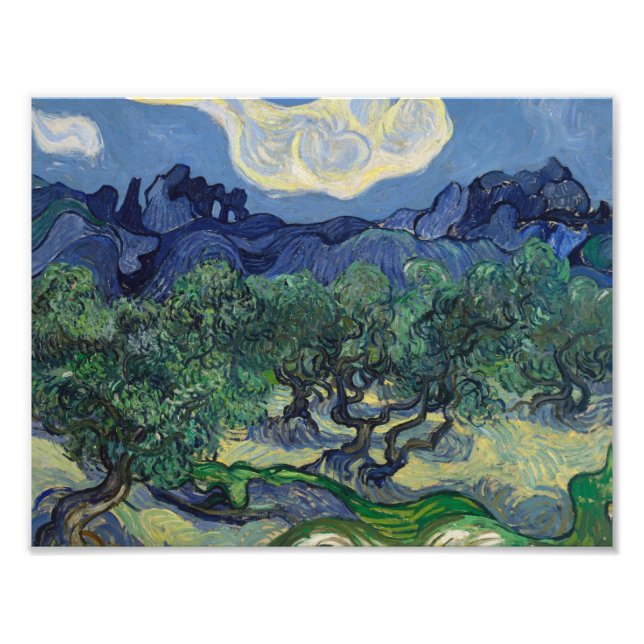 Vincent van Gogh - The Olive Trees Photo Print (Front)