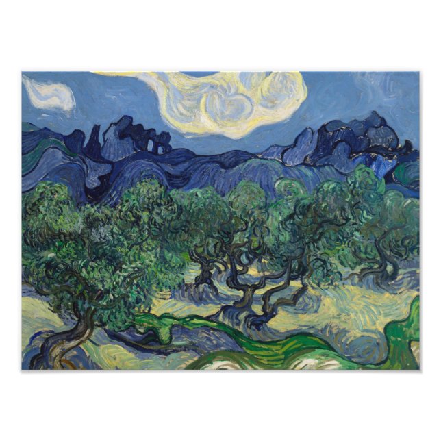 Vincent van Gogh - The Olive Trees Photo Print (Front)