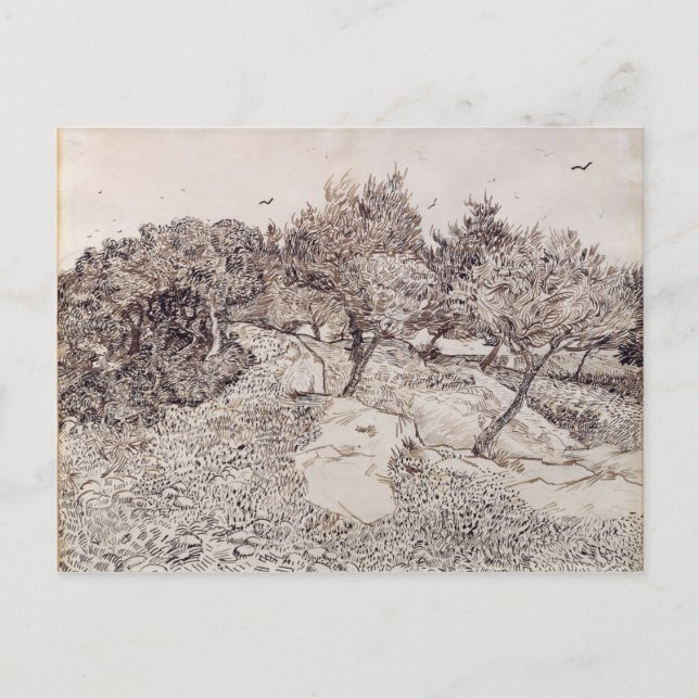 Vincent van Gogh | The Olive Trees Postcard (Front)