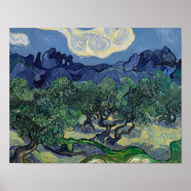 Vincent van Gogh - The Olive Trees Poster (Front)