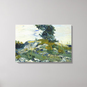 Vincent van Gogh - The Rocks Canvas Print