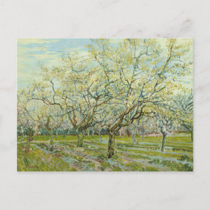 Vincent van Gogh - The White Orchard Postcard