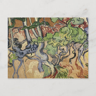 Vincent van Gogh   Tree roots, 1890 Postcard