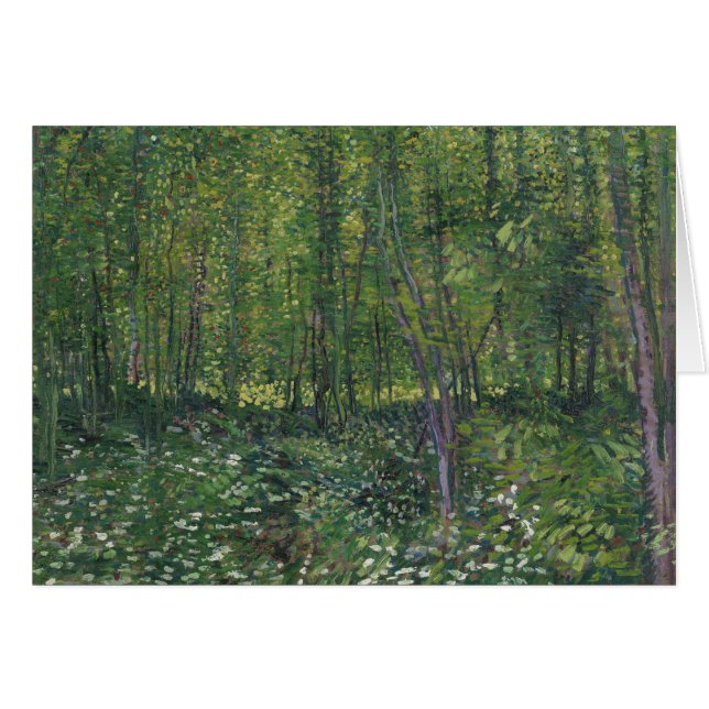 Vincent van Gogh - Trees and Undergrowth (Front Horizontal)