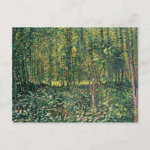 Vincent van Gogh Trees and Undergrowth, 1887 Postcard