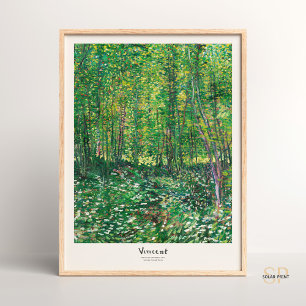 Vincent van Gogh Trees and Undergrowth Art Print