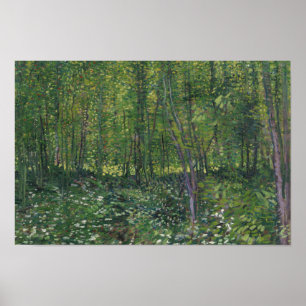 Vincent van Gogh - Trees and Undergrowth Poster