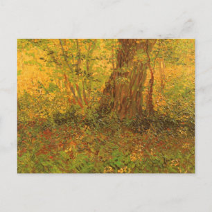Vincent van Gogh - Undergrowth Postcard