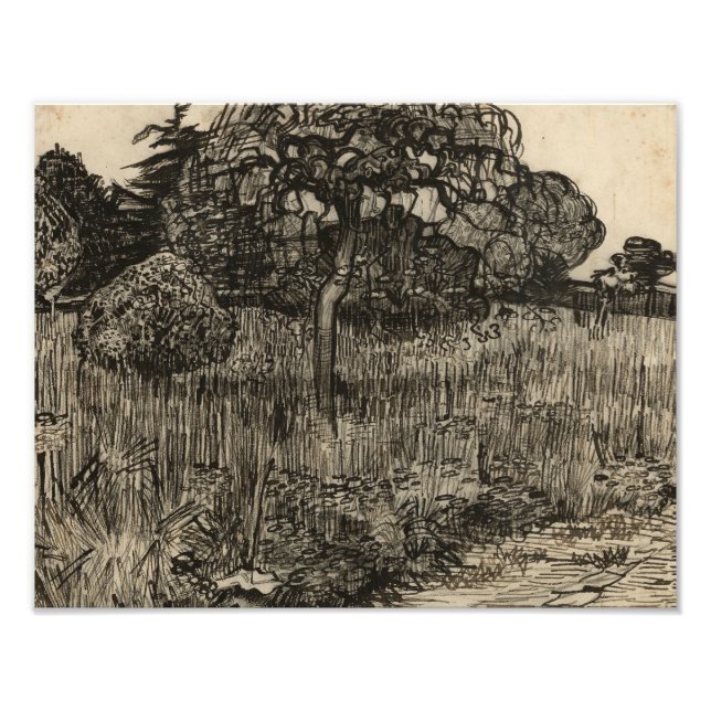 Vincent van Gogh - Weeping Tree Photo Print (Front)