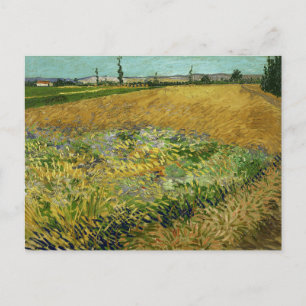 Vincent Van Gogh, Wheatfield, Korenveld Postcard