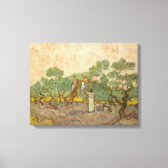 Vincent van Gogh - Women Picking Olives Canvas Print (Front)