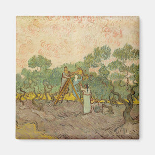 Vincent van Gogh - Women Picking Olives Magnet