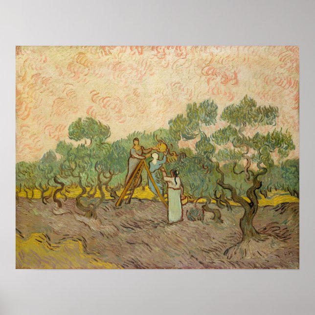 Vincent van Gogh - Women Picking Olives Poster (Front)