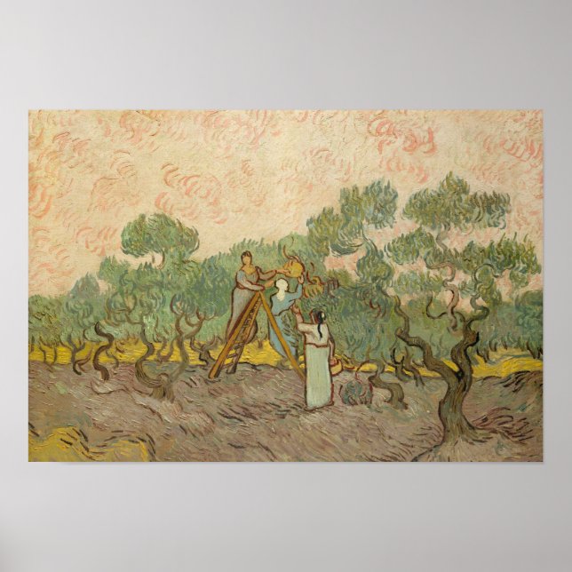 Vincent van Gogh - Women Picking Olives Poster (Front)