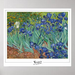 Vincent Van Gogh Zedign Art Poster #45-3