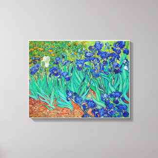 Vincent Van Gogh's Irises (1889). Canvas Print