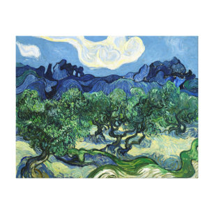 Vincent van Gogh's Olive Trees Canvas Print